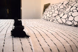 Black on White Cotton Blanket